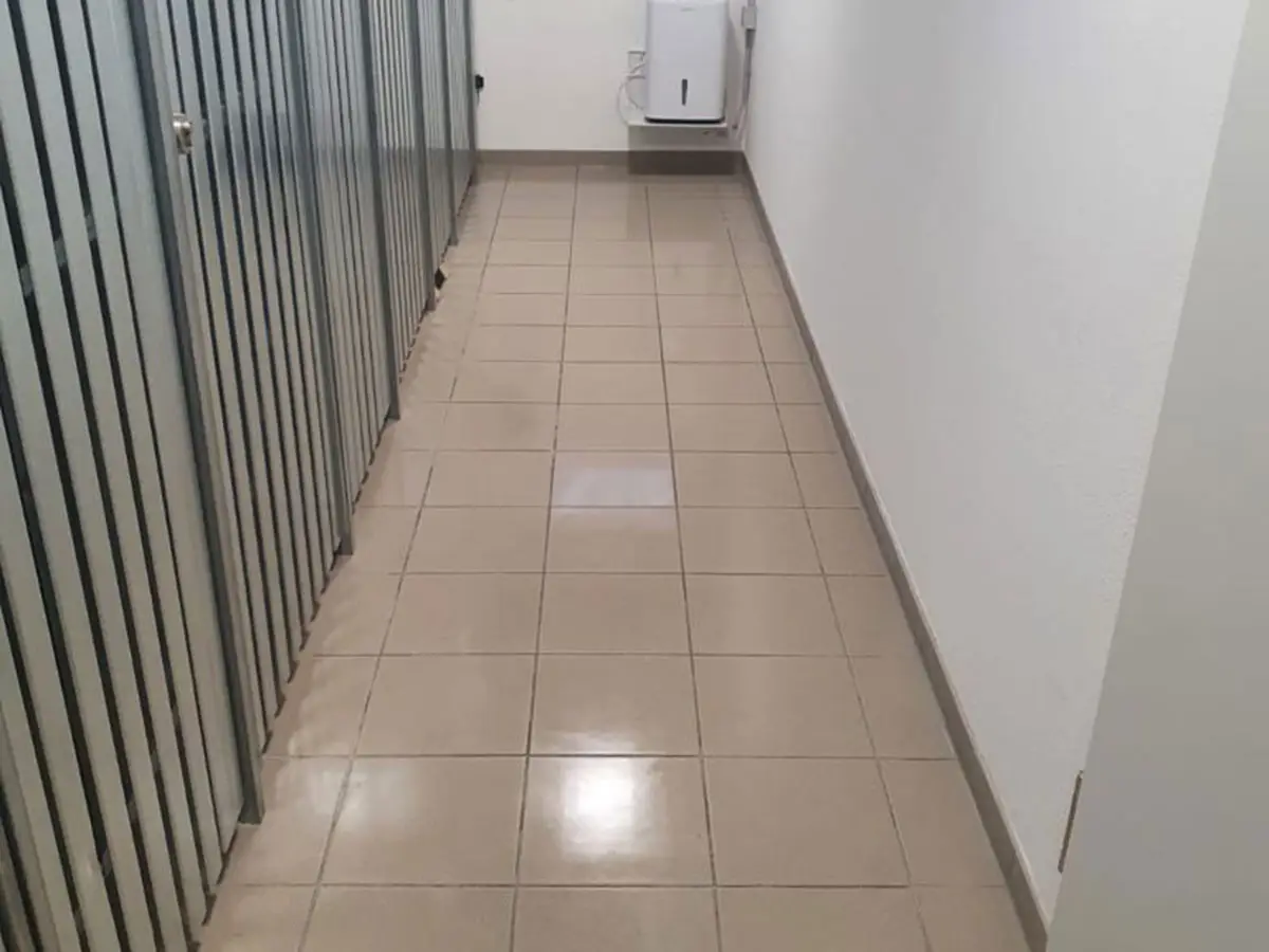 Bild einer gereinigten Toilette von Gath Hausmeisterservice